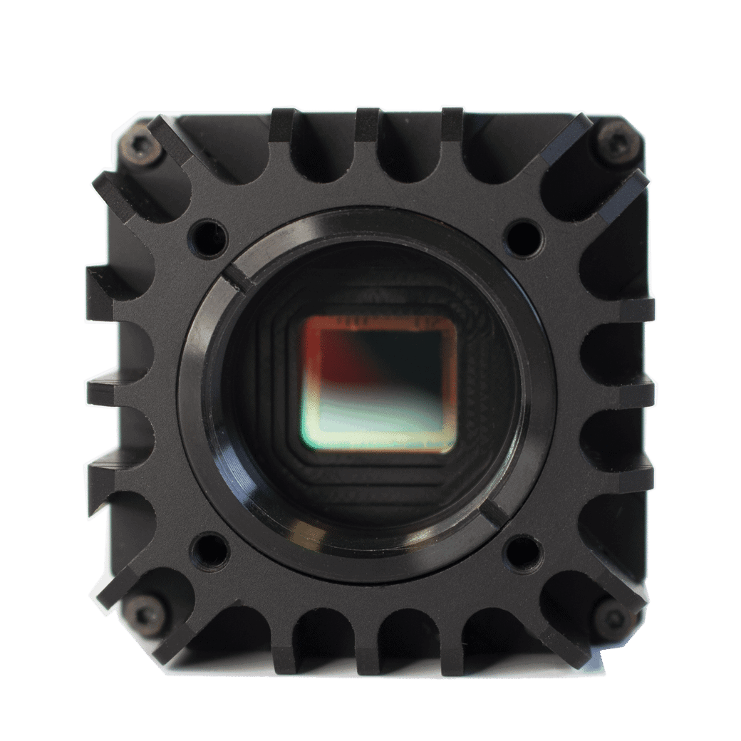 1616489862607702.png WiDy SenS.png